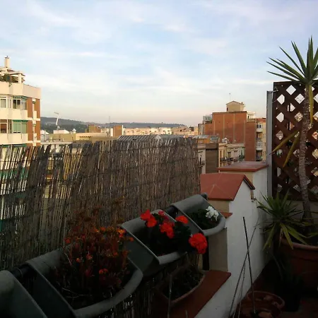 Mireia's Barcelona